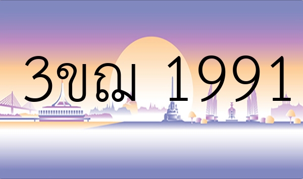 3ขฌ 1991